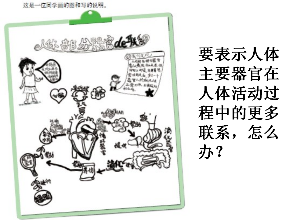 教科小学科学四上《4.7、相互协作的人体器官》PPT课件1_06.png