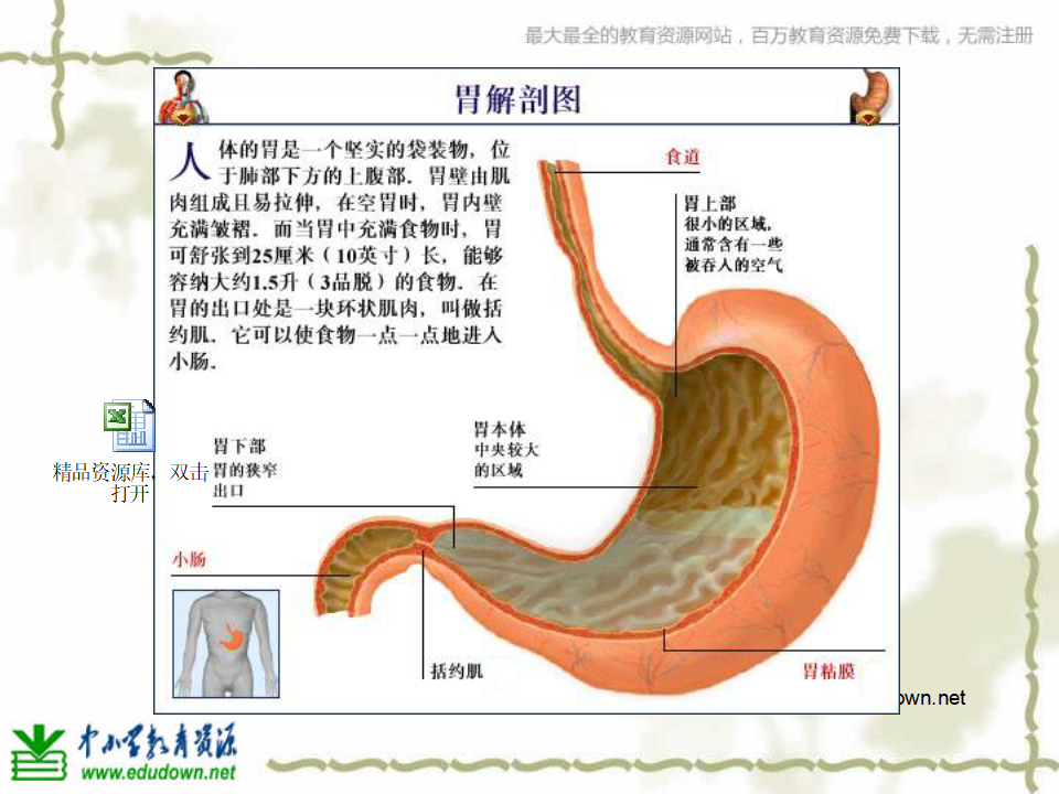 教科小学科学四上《4.5、食物在体内的旅行》PPT课件6_07.png