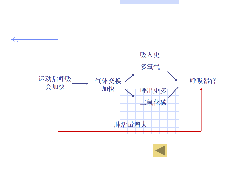 教科小学科学四上《4.3、跳动起来会怎样（一）》PPT课件2_09.png