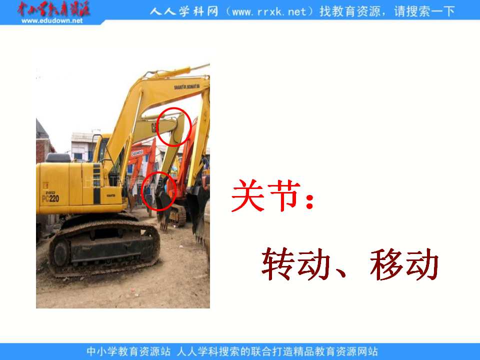 教科小学科学四上《4.2、骨骼、关节和肌肉》PPT课件2_11.png