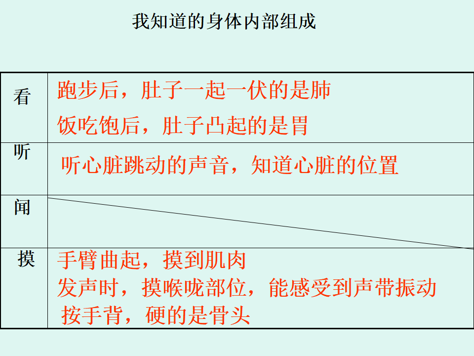 教科小学科学四上《4.1、身体的结构》PPT课件5_07.png