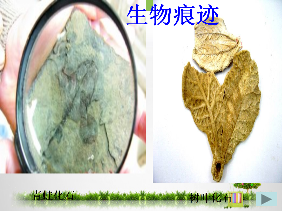 《面对几种不知名矿物》教学课件_05.png