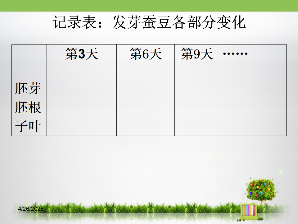 《种子的萌发》探究课件_14.png
