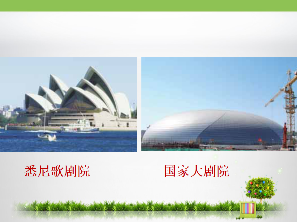 《动物的卵》探究课件_14.png