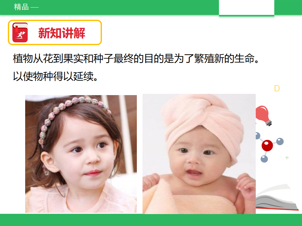 3、花、果实和种子 精品课件_23.png