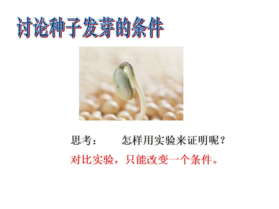 种子发芽试验一_05.png