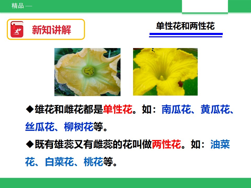 教科版科学四下 2.2 《各种各样的花》课件_17.png