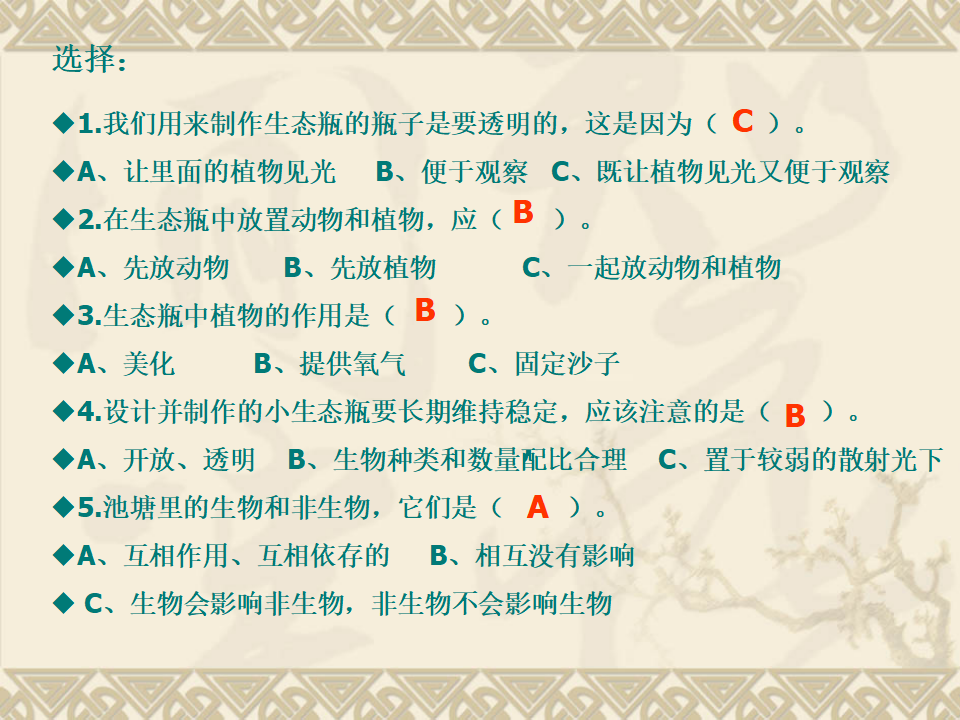 做一个生态瓶 1_16.png