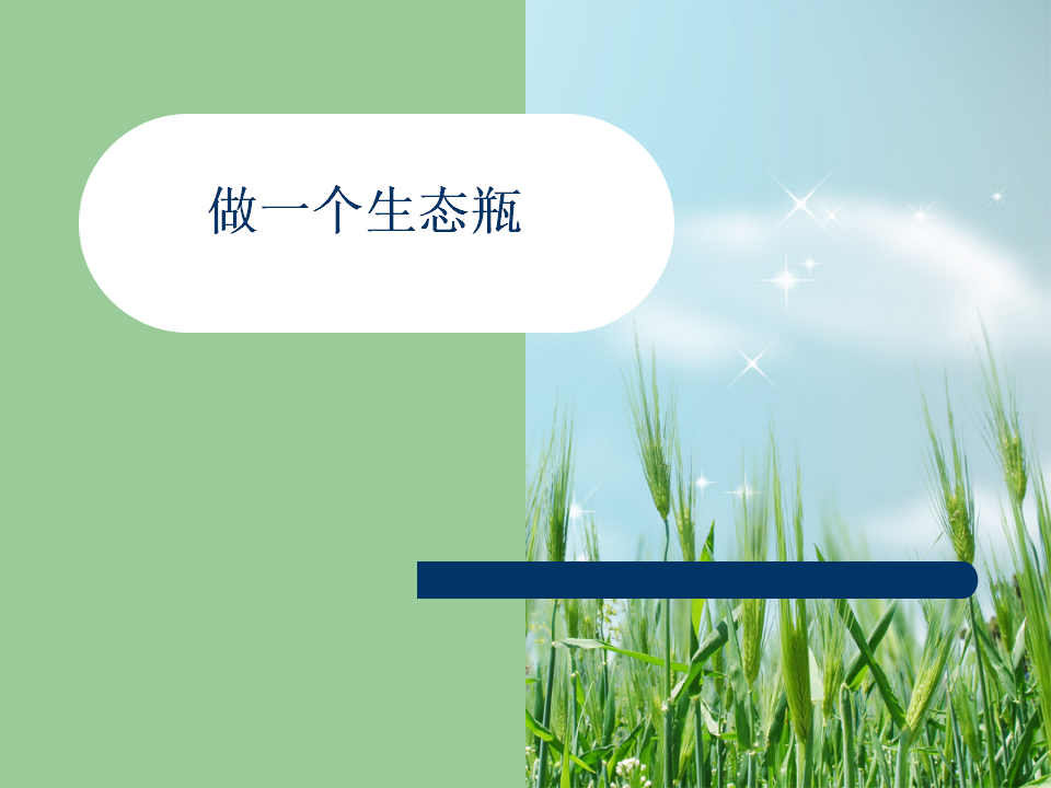 做一个生态瓶_01.png