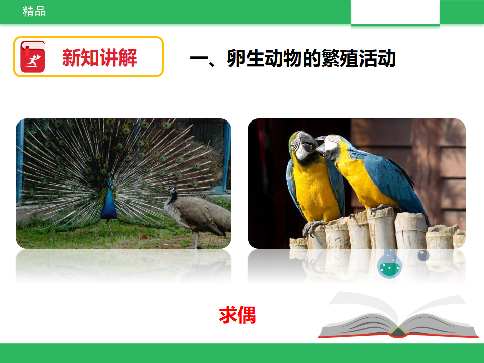 教科版四年下科学第二单元第七课时《动物的繁殖活动》课件_03.png