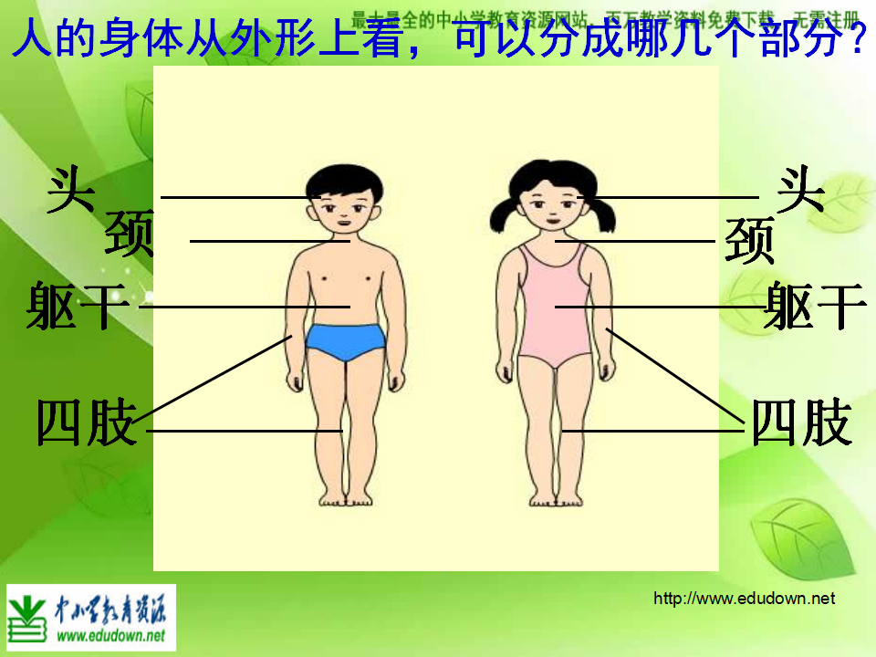 教科小学科学四上《4.1、身体的结构》PPT课件2_10.png