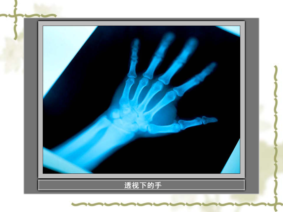 教科小学科学四上《4.1、身体的结构》PPT课件1_17.png