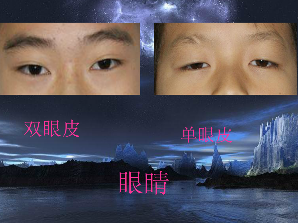 相貌各异的我们_07.png