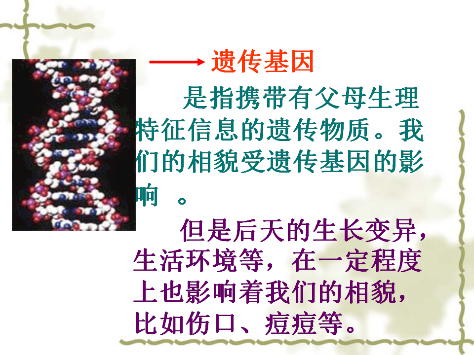 相貌各异的我们_29.png