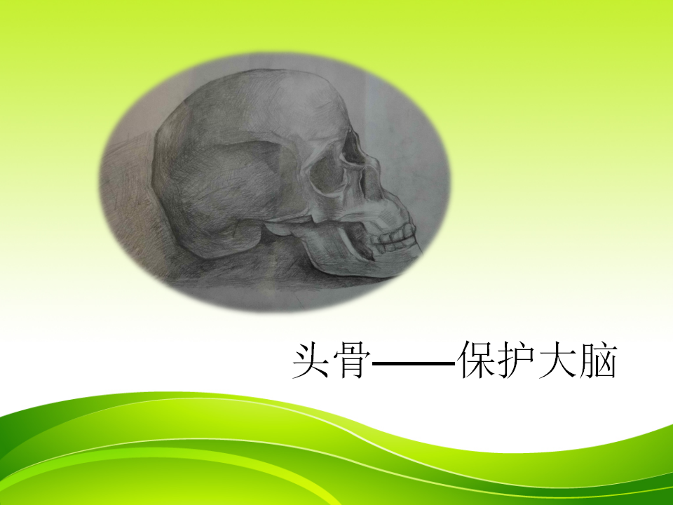 找拱形 1_10.png