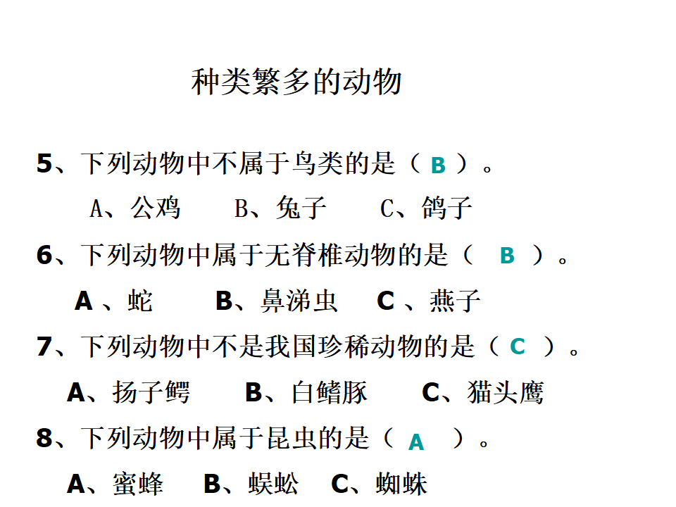 六上四4种类繁多的动物 1_31.png
