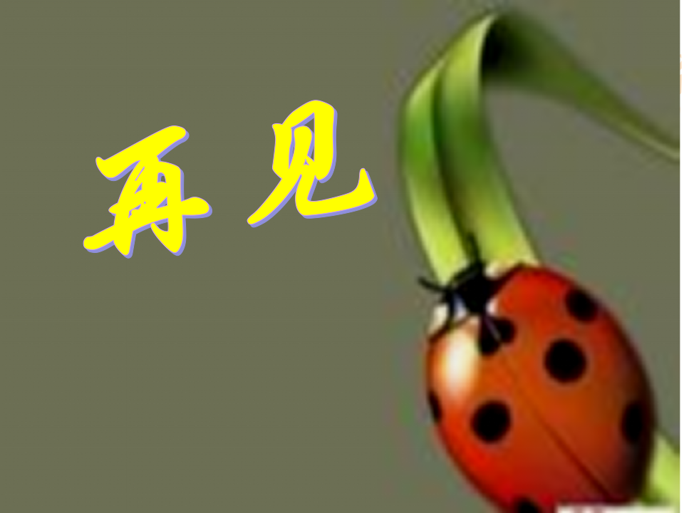 六上四4种类繁多的动物_59.png