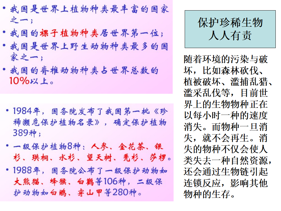 六上四2校园生物分布图_22.png