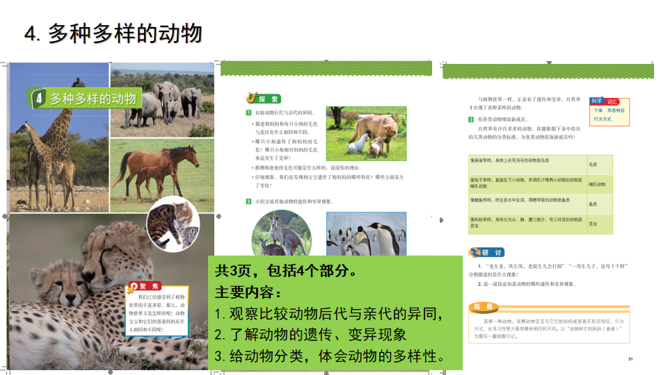 《生物的多样性》单元教材解读（课件）_52.png