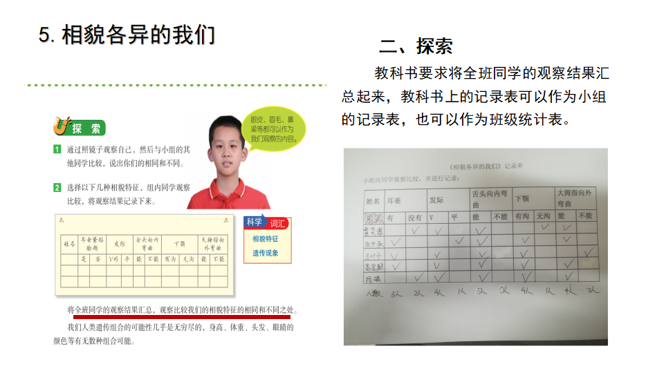 《生物的多样性》单元教材解读（课件）_67.png