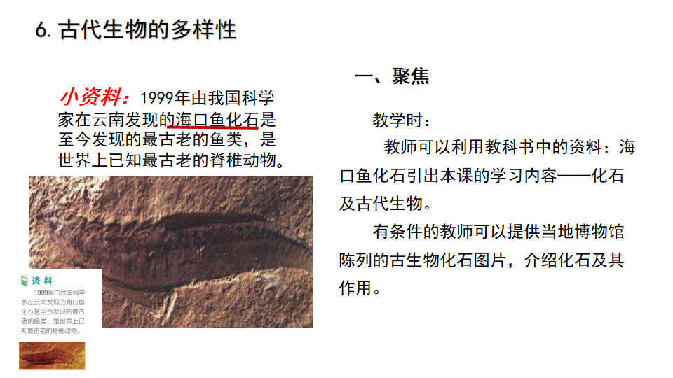 《生物的多样性》单元教材解读（课件）_78.png
