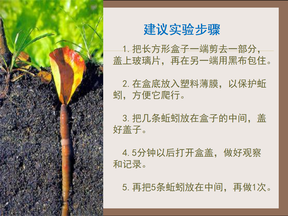 《蚯蚓的选择》教学课件_04.png