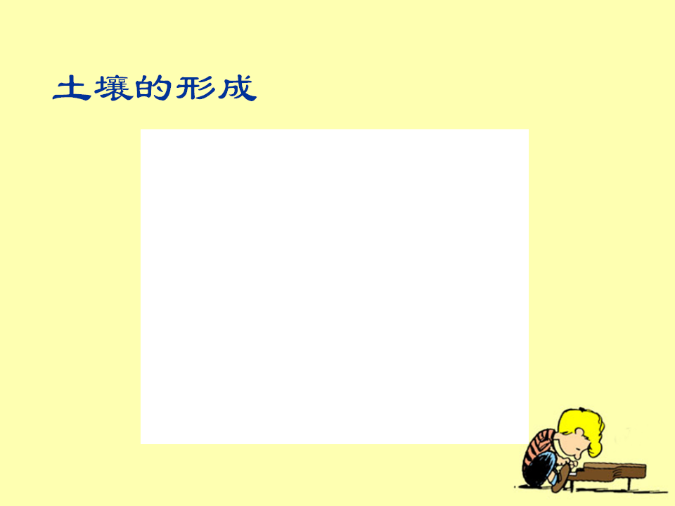 《土壤中有什么》探究课件_08.png