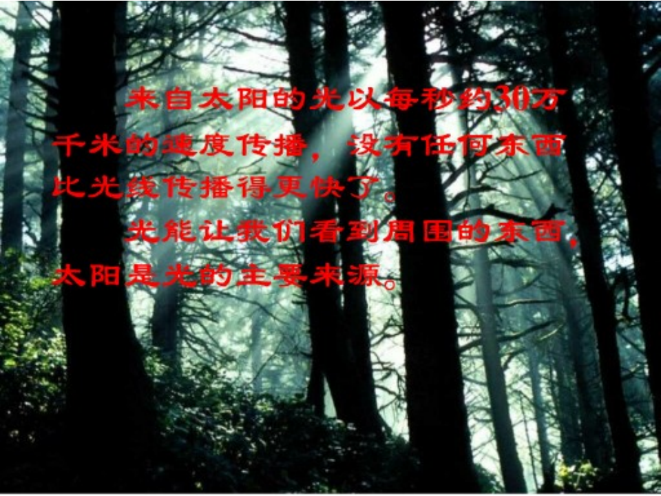 教科版五年级科学上册课件_阳光下的影子_02.png