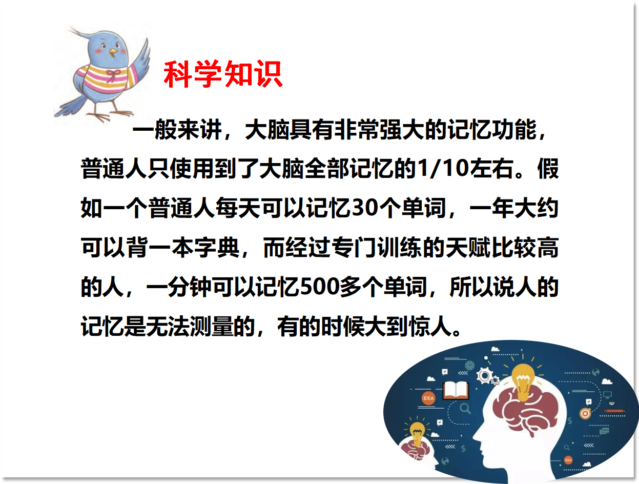 4.4.身体的“总指挥”（课件含练习32张PPT）_15.png