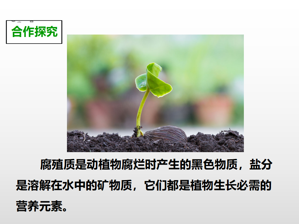第三单元第四课《土壤中有什么》（课件）_16.png