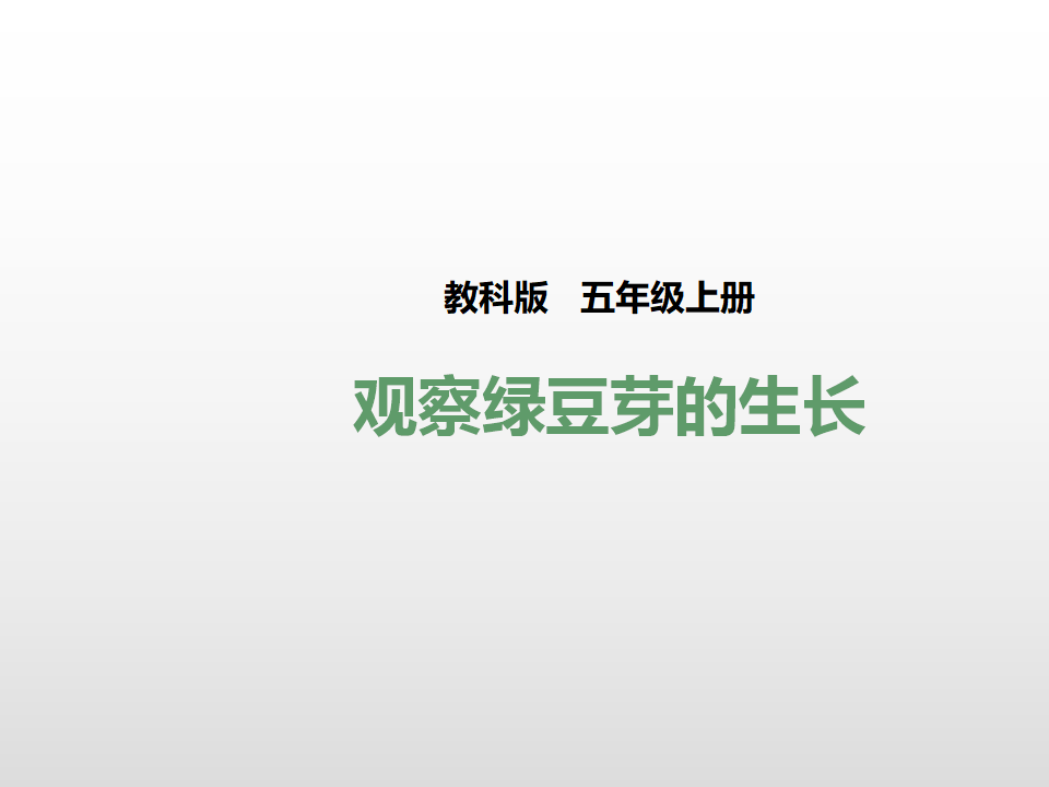 第一单元第三课《观察绿豆芽的生长》（课件）_01.png