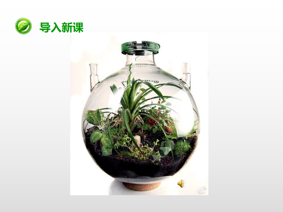 第一单元第七课《改变生态瓶》（课件）_02.png