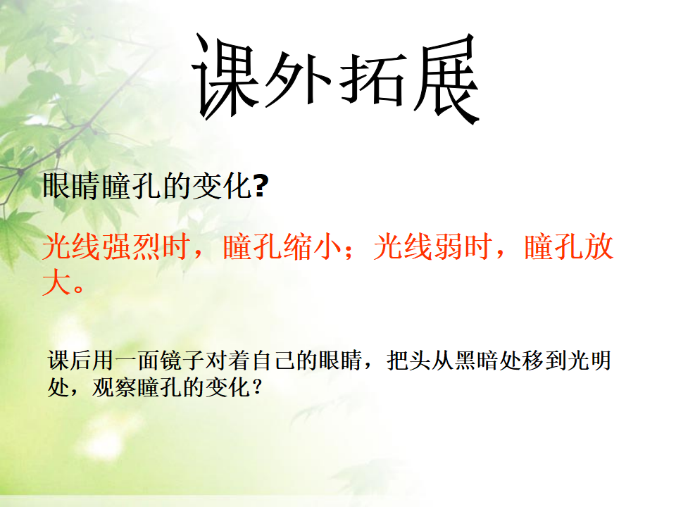 教科版科学五上《光的反射》_10.png