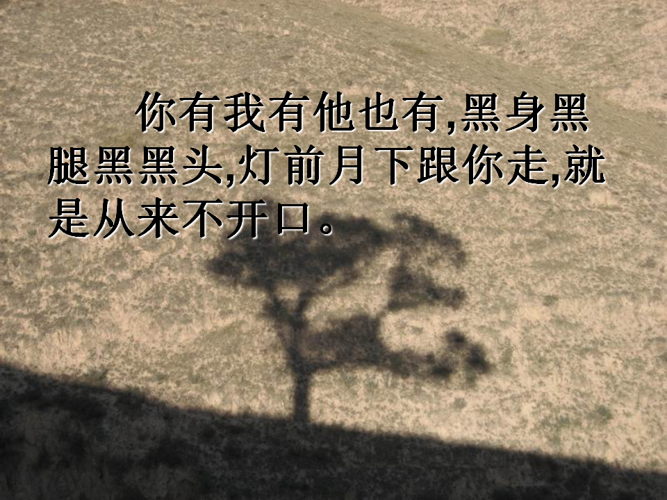 阳光下的影子 1_02.png