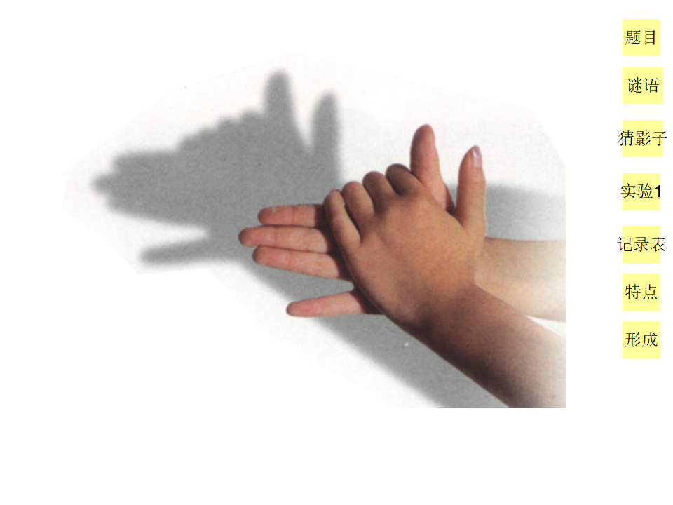 阳光下的影子 1_21.png