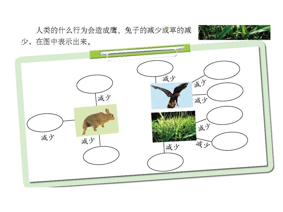 维护生态平衡_04.png