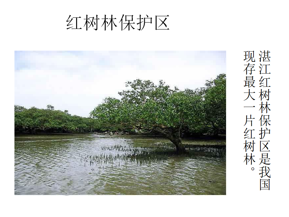 维护生态平衡_07.png
