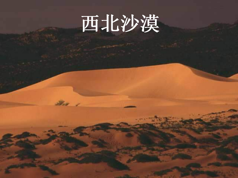 土壤中有什么 2_27.png