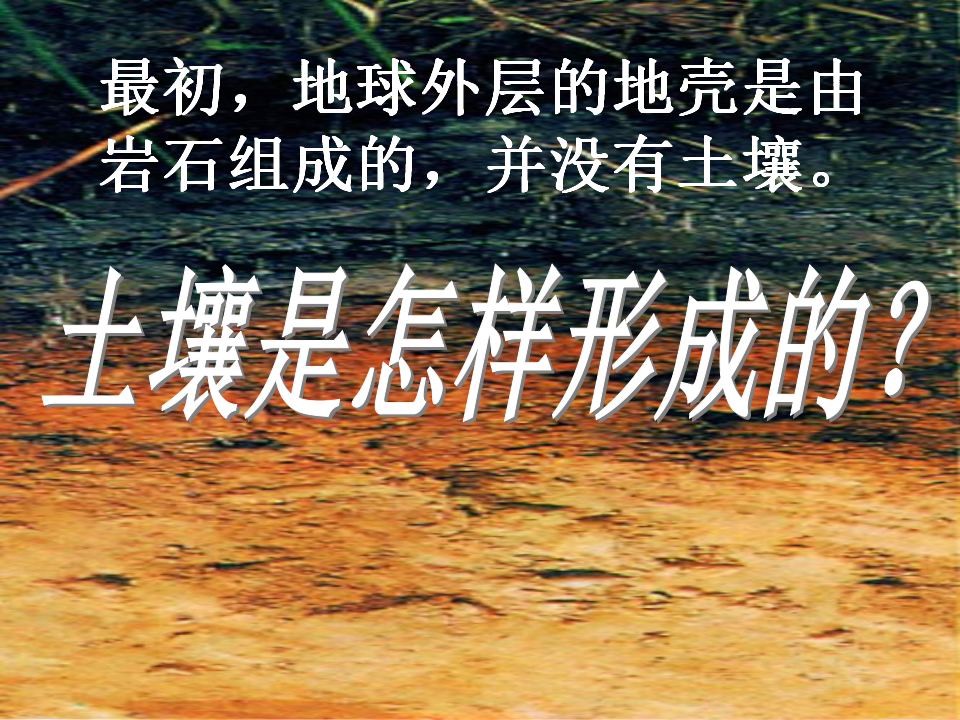 土壤中有什么 1_19.png