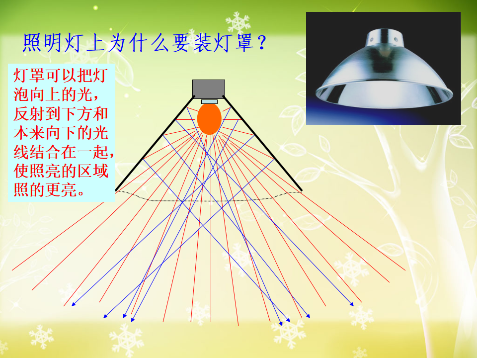 五上二4光的反射_19.png