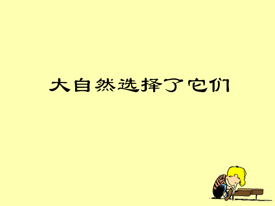 《谁选择了它们》教学课件1_06.png