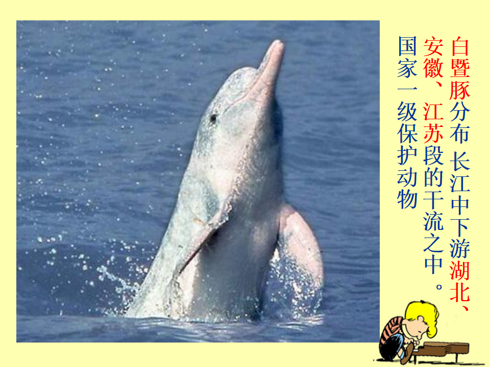 《校园生物分布图》教学课件_14.png