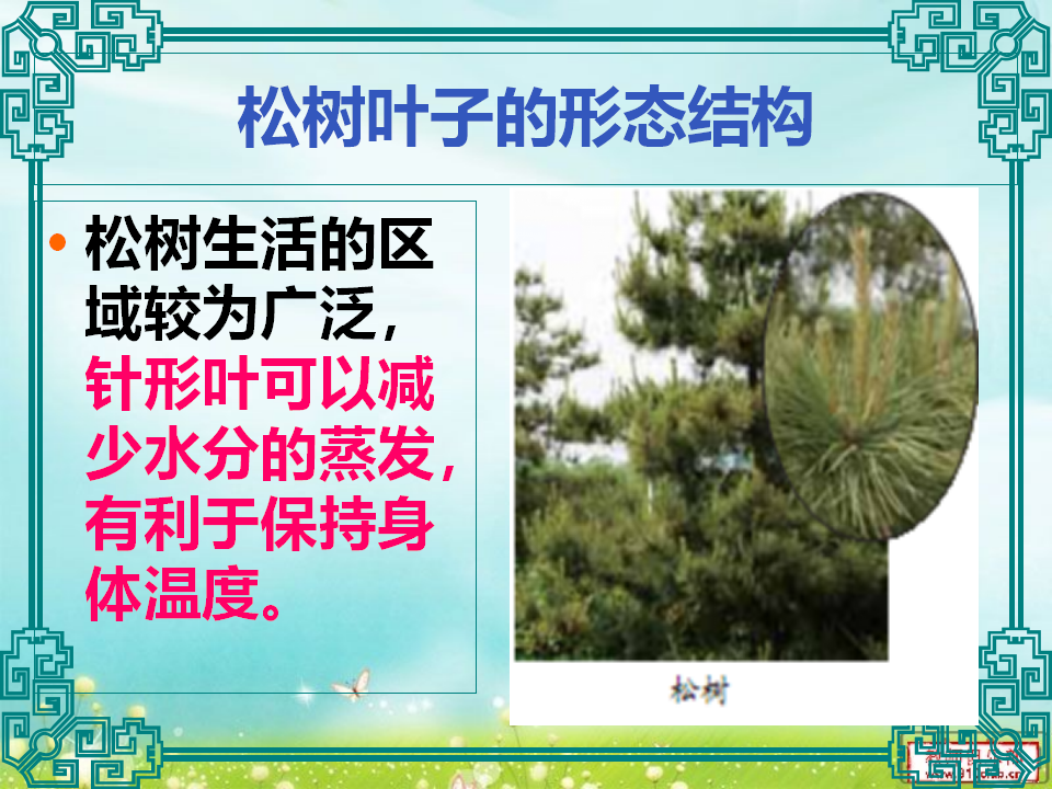 《原来是相互关联的》教学课件_12.png