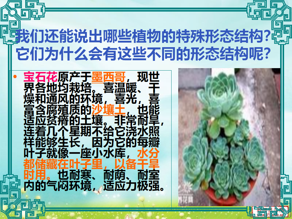 《原来是相互关联的》教学课件_14.png