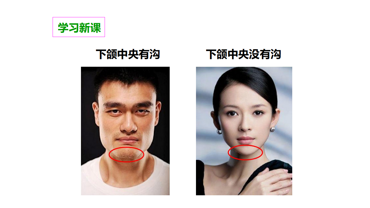 第四单元第五课《相貌各异的我们》（课件）_13.png