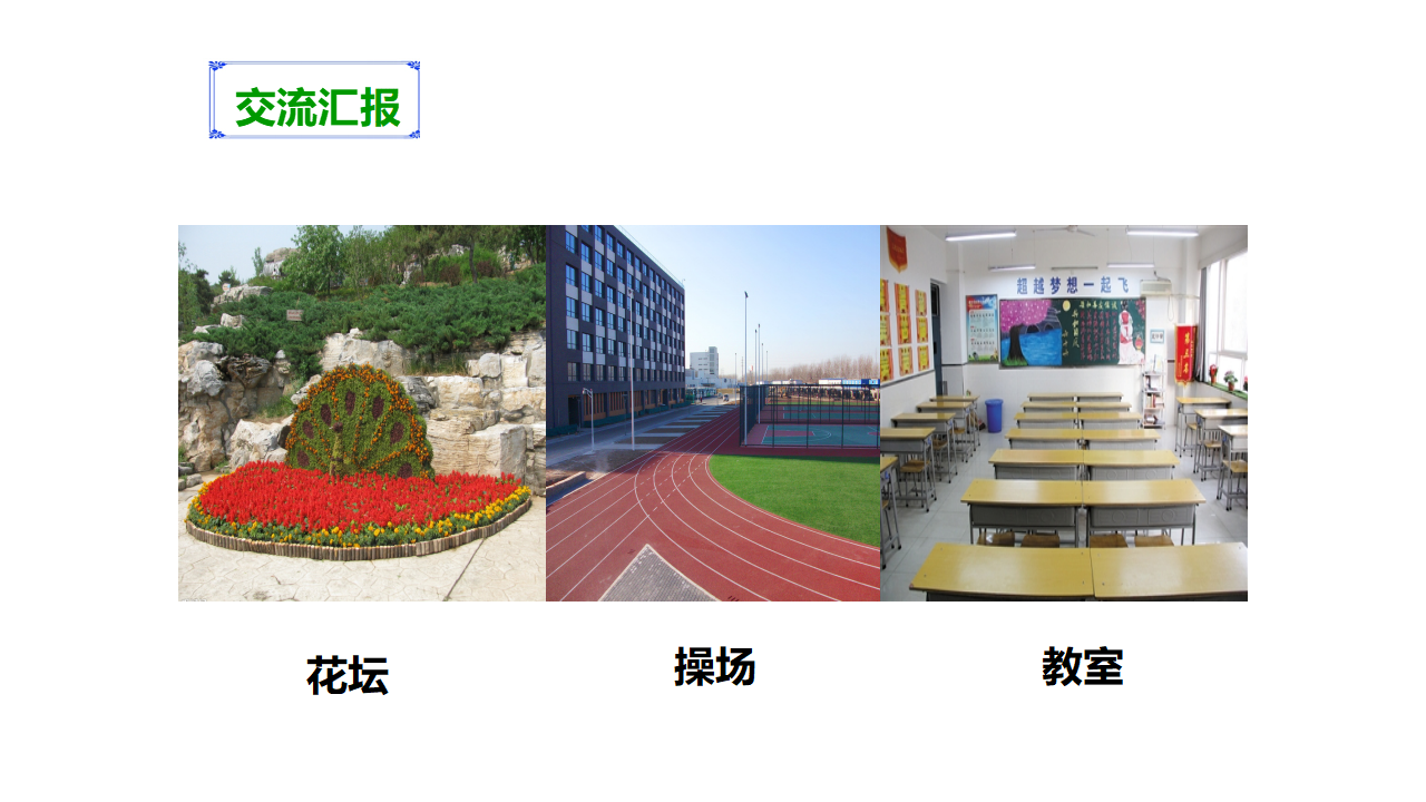 第四单元第二课《校园生物分布图》（课件）_11.png