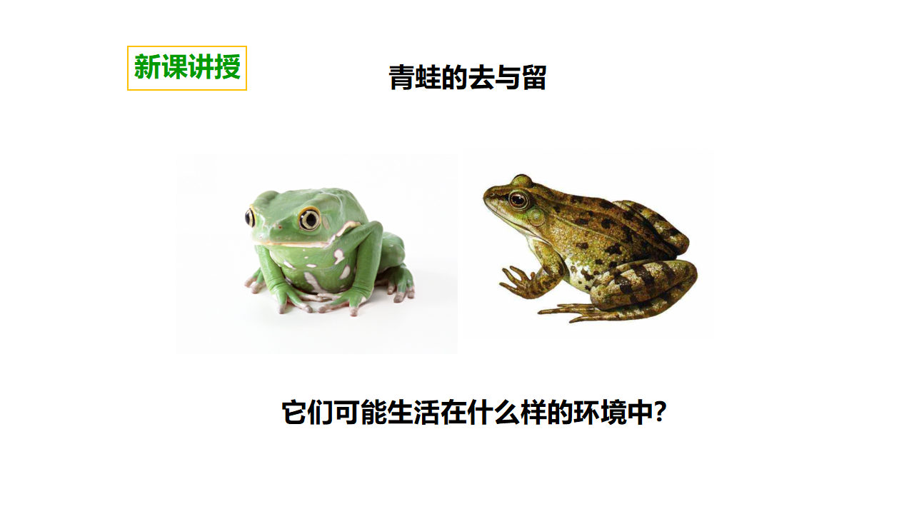 第四单元第七课《谁选择了它们》（课件）_04.png