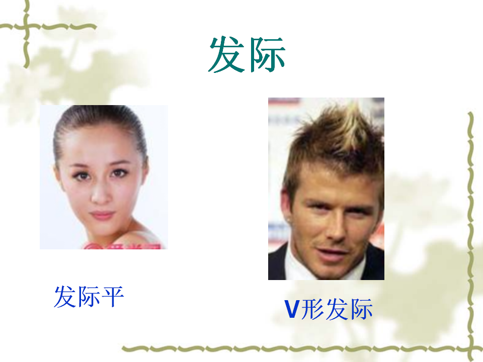 教科版科学六年级上册《相貌各异的我们》PPT_05.png
