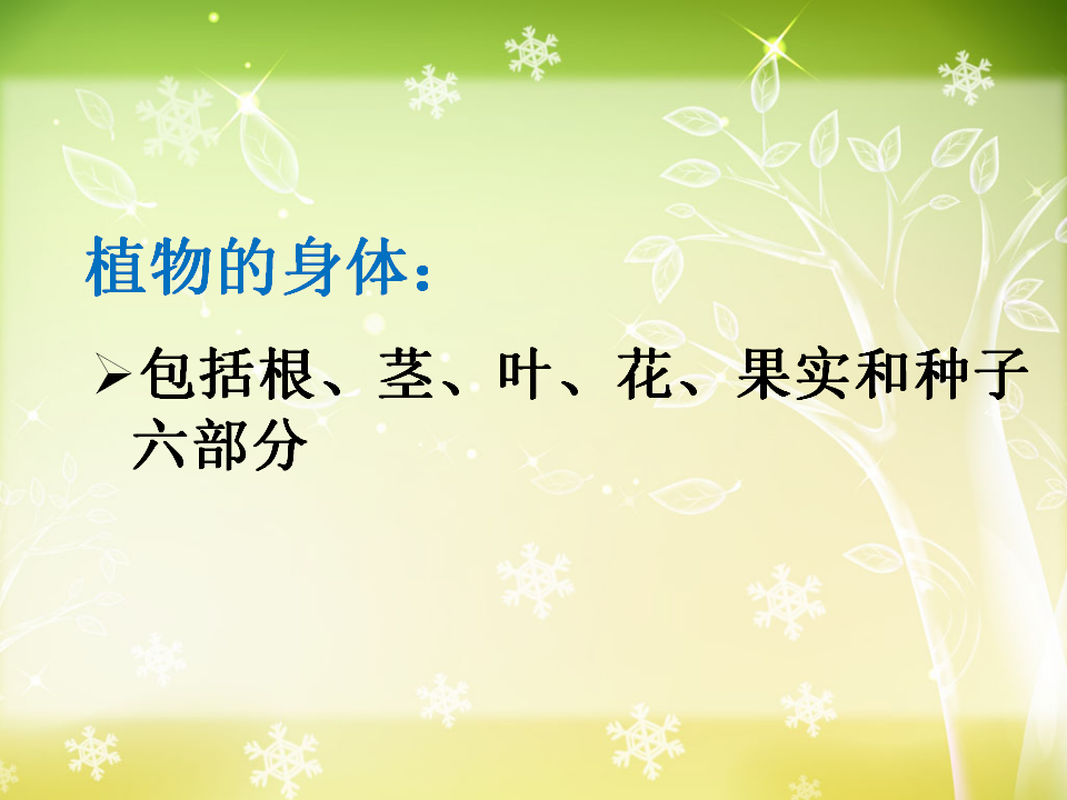 科学六上《多种多样的植物》ppt课件2_13.png