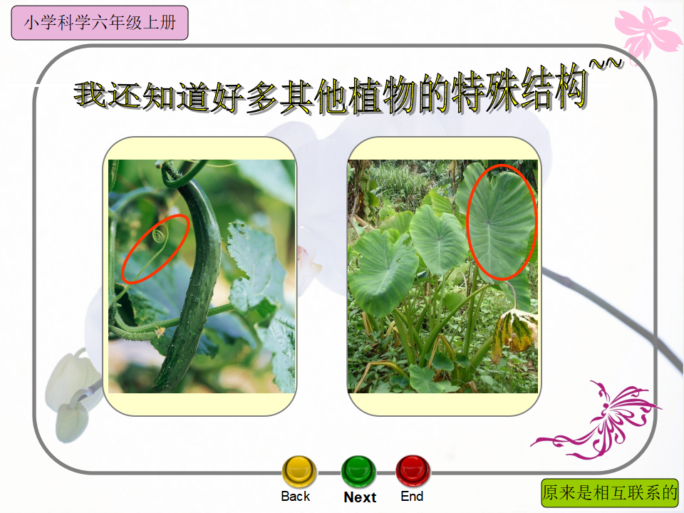 六年级上册第四章6、原来是相互关联的_08.png